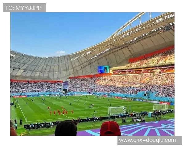 足球8带你领略世界足球的魅力与激情探索球场背后的故事与传奇